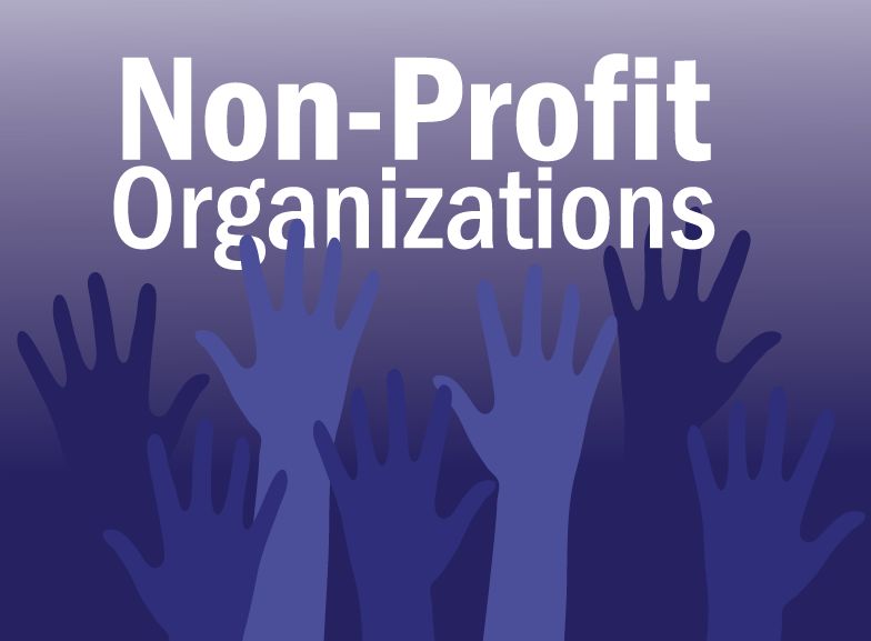 Purple gradient background with raised blue hands and the title 'Non-Profit Organizations'.